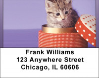 Kitten In A Box Address Labels