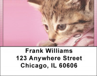 Playful Perky Kittens Address Labels