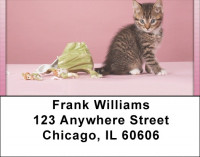 Playful Perky Kittens Address Labels | LBQBA-94