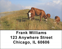 Animal Portraits Address Labels | LBQBB-06