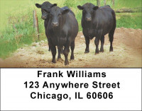 Black Angus Cattle Address Labels