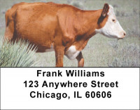 Cattle On Western Prairie Address Labels