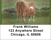 Cows With Calves Address Labels
