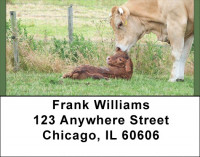 Cows With Calves Address Labels | LBQBB-10