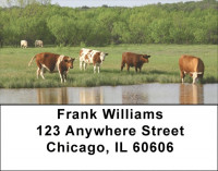 Grazing Cattle In Tall Grass Address Labels | LBQBB-12