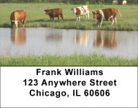 Grazing Cattle In Tall Grass Address Labels | LBQBB-12