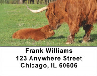 Highland Cow With Newborn Calf Address Labels