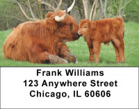 Highland Cow With Newborn Calf Address Labels | LBQBB-13