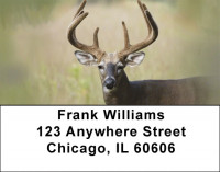 Deer Racks Address Labels | LBQBB-18