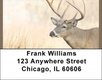 Whitetail Deer Address Labels | LBQBB-21