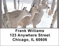 Whitetail Deer Address Labels | LBQBB-21