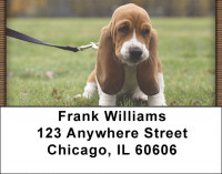 Basset Hound Puppy Address Labels | LBQBB-24
