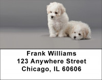 Bichon Puppies Address Labels