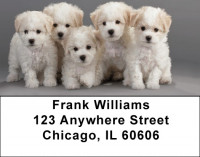 Bichon Puppies Address Labels | LBQBB-27