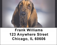Bloodhounds Address Labels | LBQBB-28