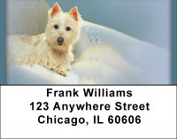 Adorable Cairn Terrier Address Labels | LBQBB-35