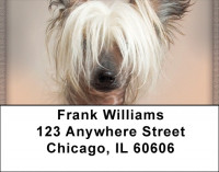 Chinese Crested Address Labels | LBQBB-40