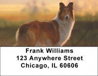 Lassie Address Labels | LBQBB-43