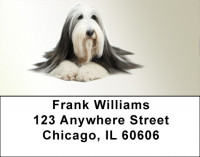 Long Haired Collie Address Labels | LBQBB-44