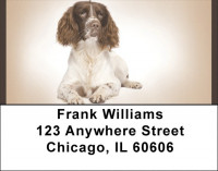 English Springer Spaniels Address Labels | LBQBB-53