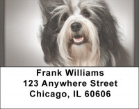 Havanese Address Labels | LBQBB-61