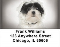 Havanese Address Labels | LBQBB-61