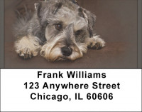 Miniature Schnauzers Address Labels | LBQBB-75
