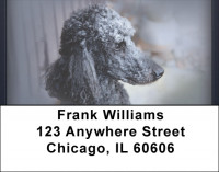 Black And Grey Poodle Address Labels