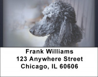 Black And Grey Poodle Address Labels | LBQBB-85