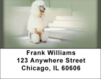 White Standard Poodle Address Labels | LBQBB-87