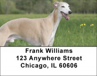 Whippets Address Labels