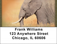 Wild Elephant Portraits Address Labels | LBQBC-22