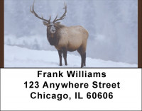 Rocky Mountain Elk Address Labels