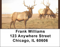 Rocky Mountain Elk Address Labels | LBQBC-23