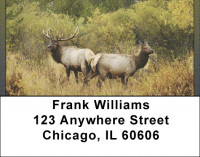 Rocky Mountain Elk In Fall Address Labels