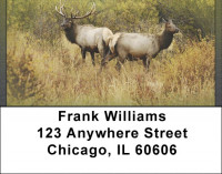 Rocky Mountain Elk In Fall Address Labels | LBQBC-24