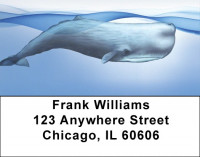 Creatures Of The Sea Address Labels | LBQBC-30