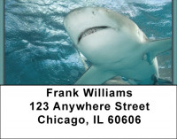 Sharks On Parade Address Labels