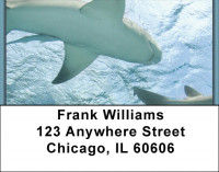 Sharks On Parade Address Labels | LBQBC-42