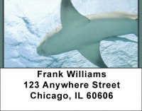 Sharks On Parade Address Labels | LBQBC-42