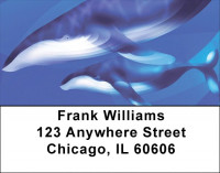 Whale Wonders Address Labels | LBQBC-48