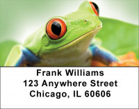 Funky Tree Frogs Address Labels