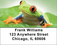 Funky Tree Frogs Address Labels | LBQBC-52