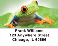 Funky Tree Frogs Address Labels | LBQBC-52
