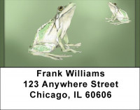 Green Frog Pencil And Watercolor Address Labels