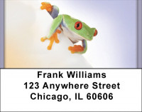 Over The Top Frogs Address Labels | LBQBC-55