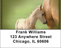 Foals And Mares Address Labels