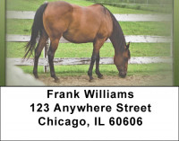 For Horse Lovers Address Labels | LBQBC-63