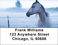 Horse On Misty Morning Address Labels | LBQBC-64