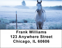 Horse On Misty Morning Address Labels | LBQBC-64